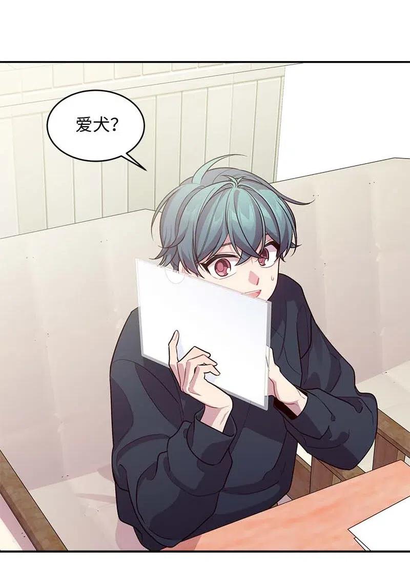 59 爱犬42