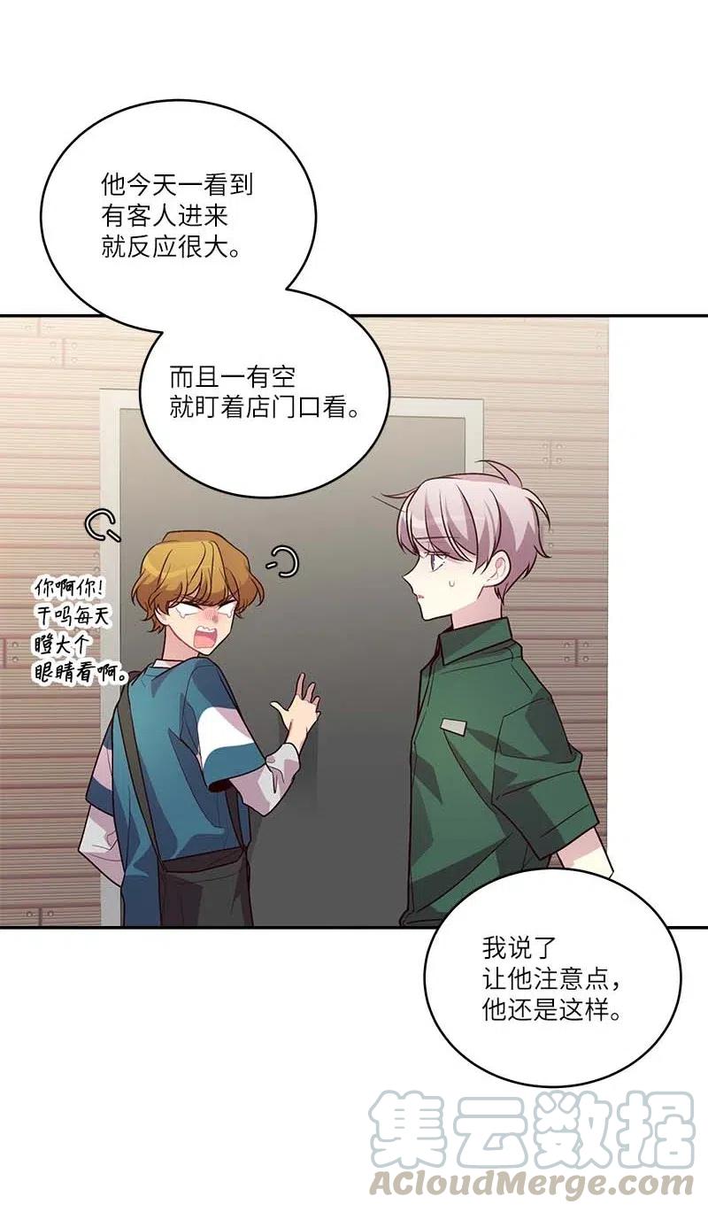 81 道歉18