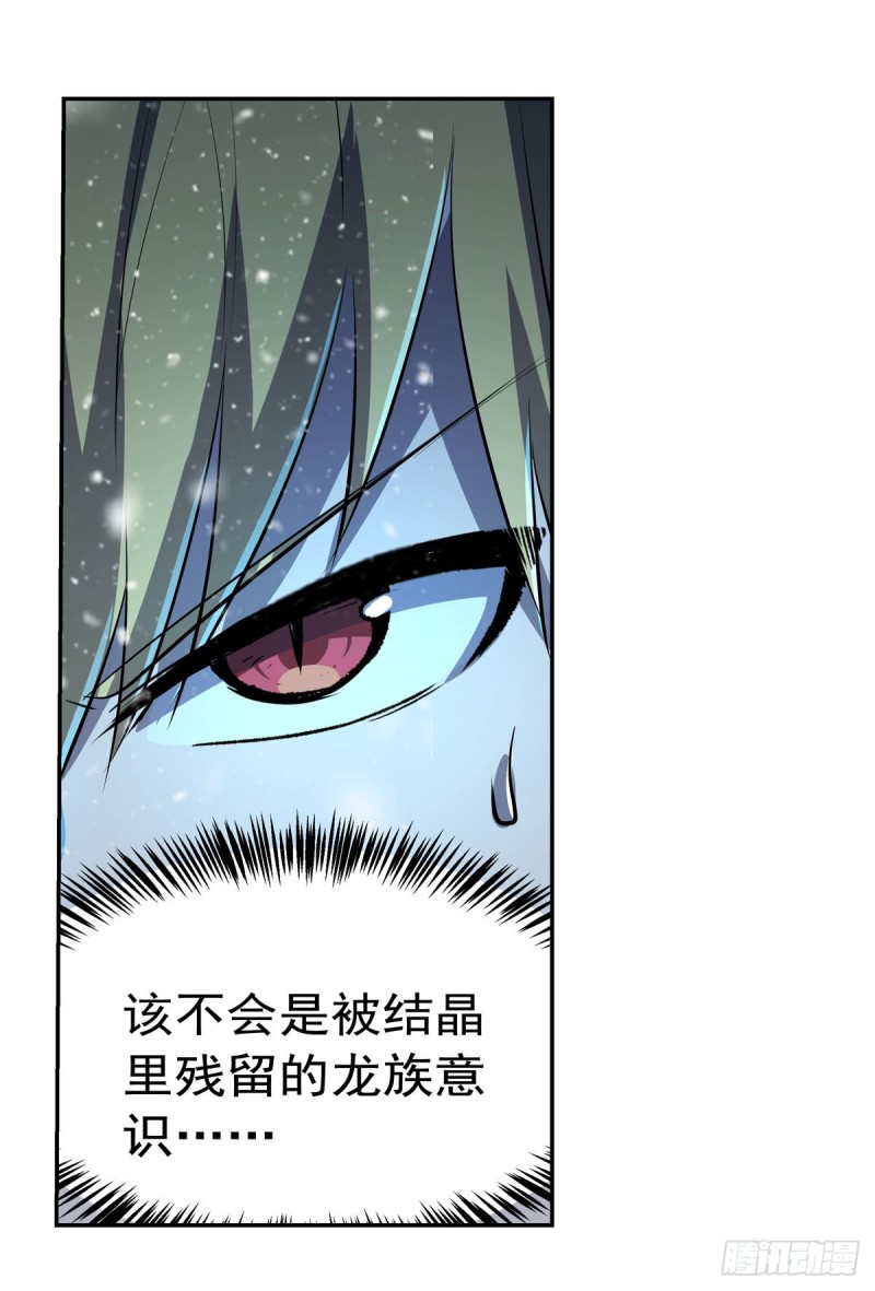 第232话 龙与蝠42