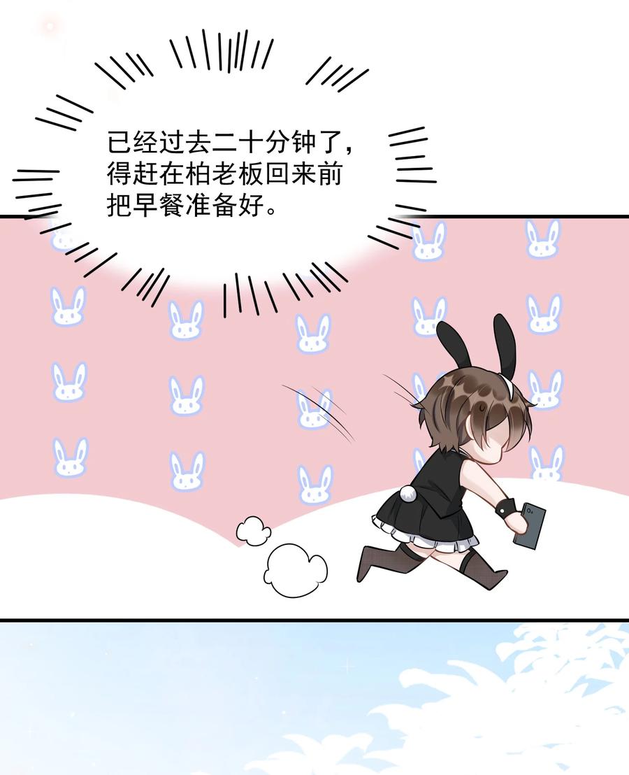 062 5米：你好，我是令郎养的兔子21