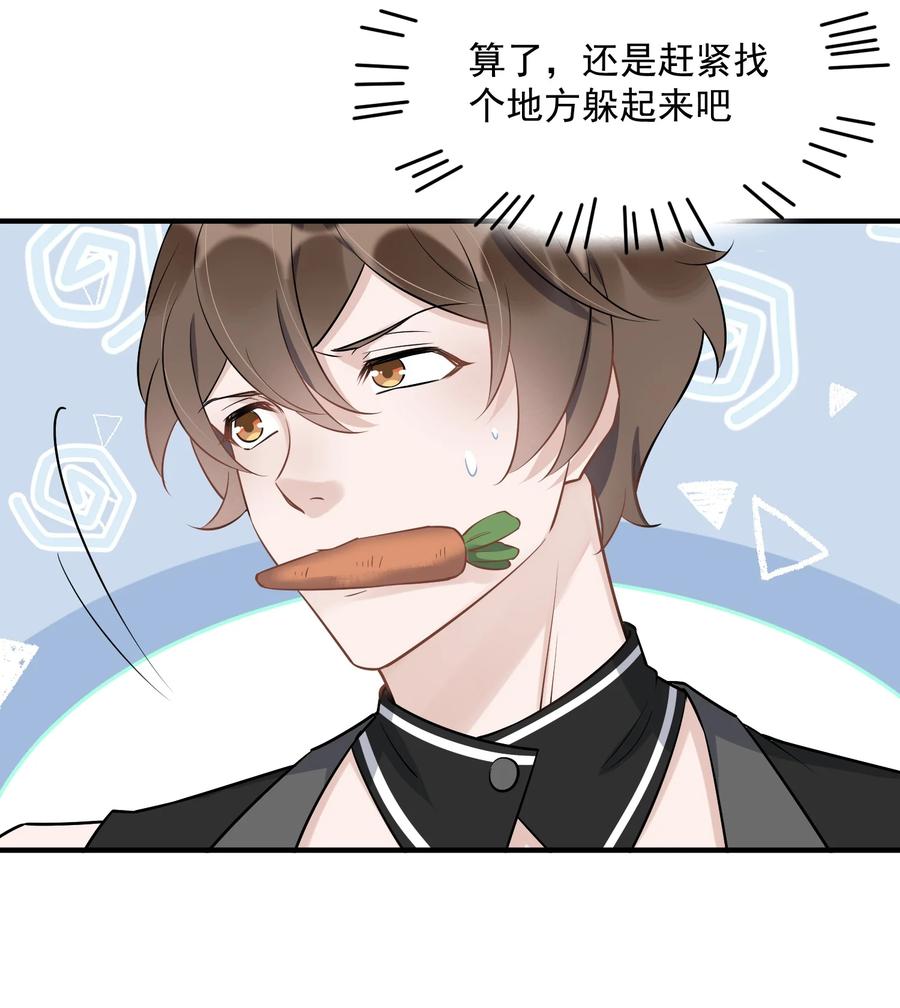 062 5米：你好，我是令郎养的兔子31