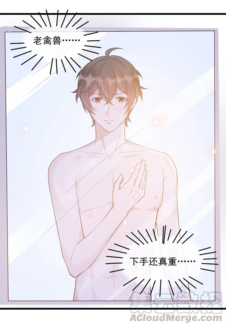 039 0.5米：XL号创口贴6