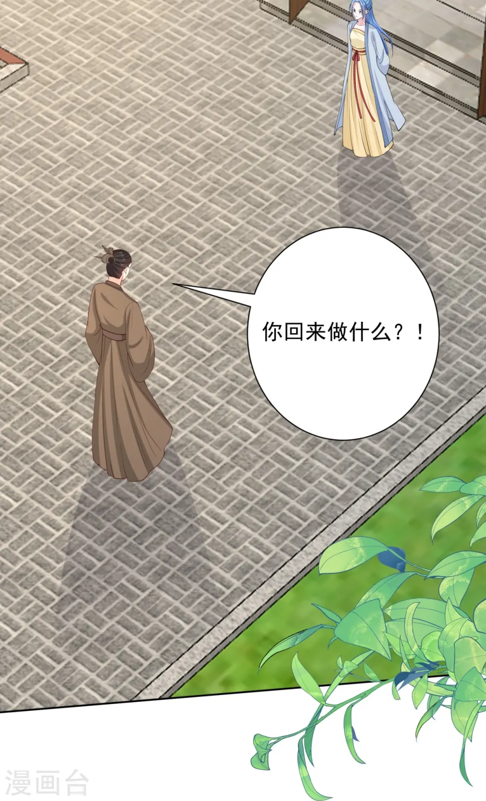 第335话 苏姨娘9
