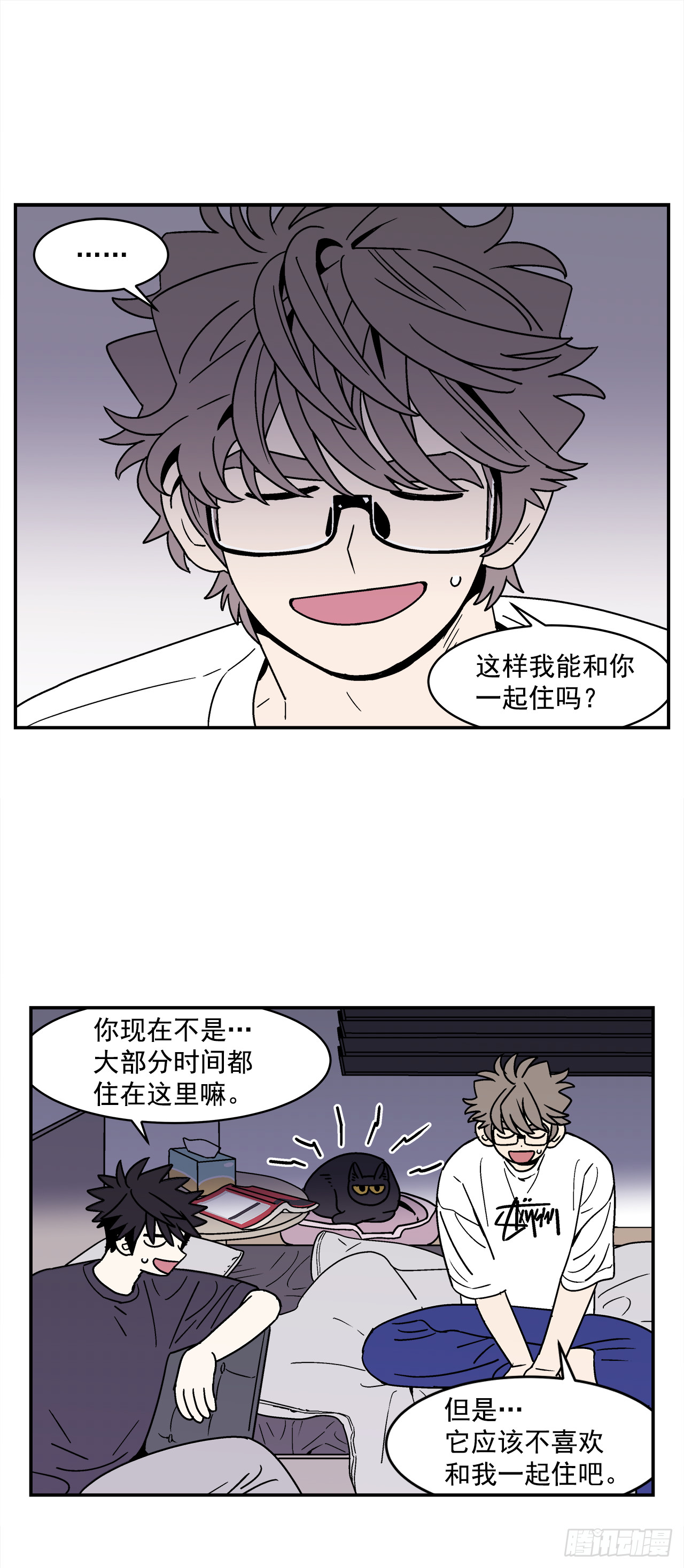 66.番外8如何搞定猫咪23