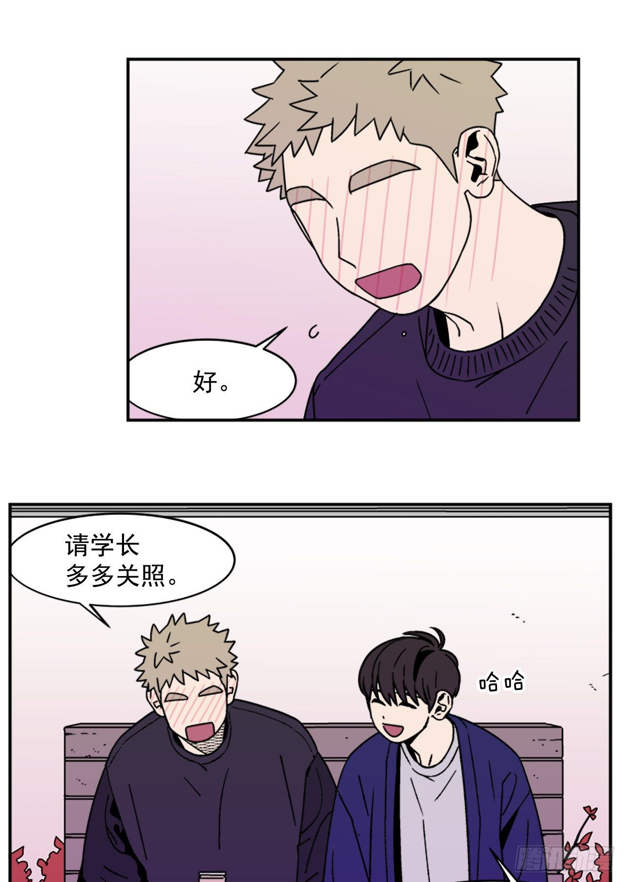 4.我们交往吧12