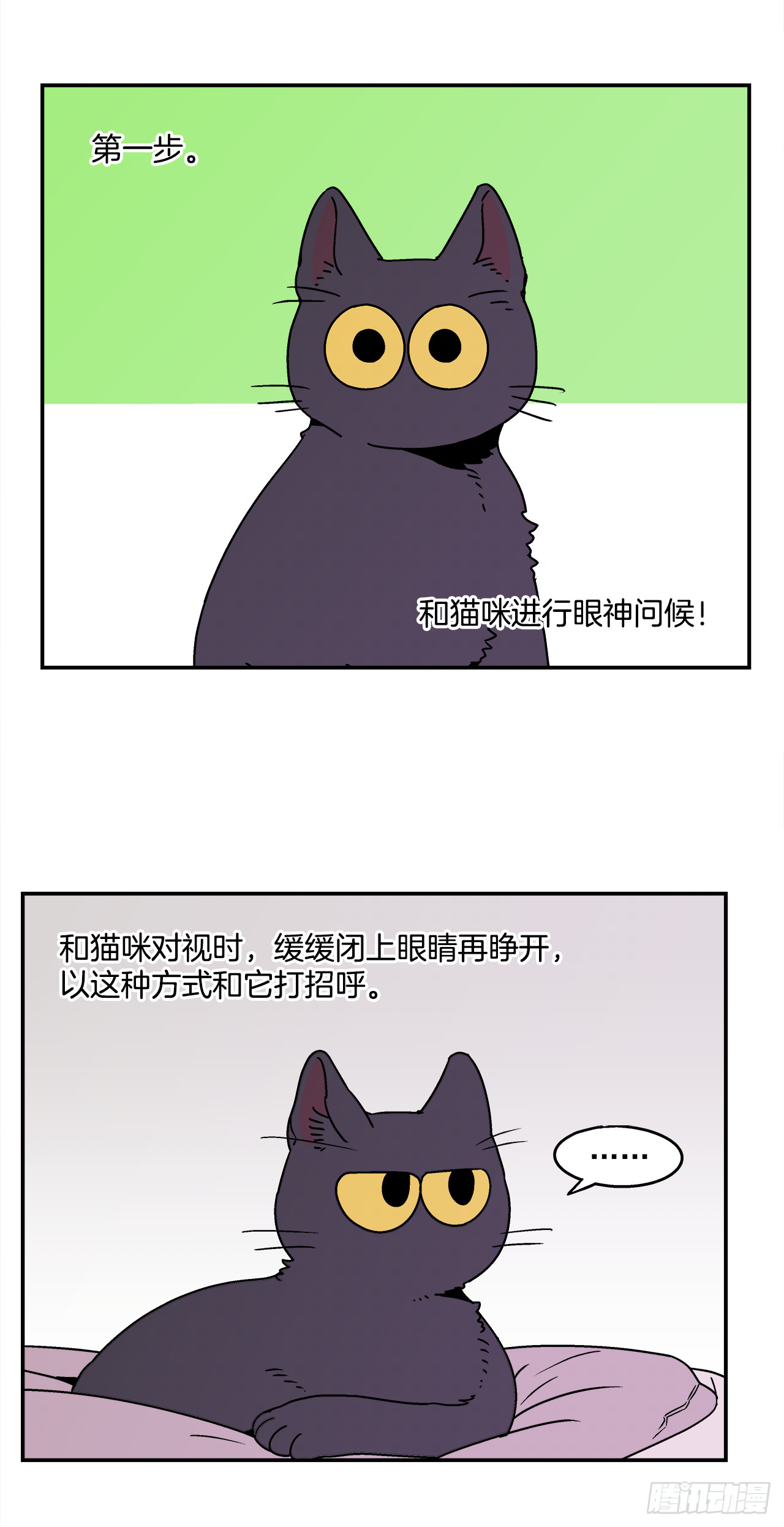 66.番外8如何搞定猫咪26