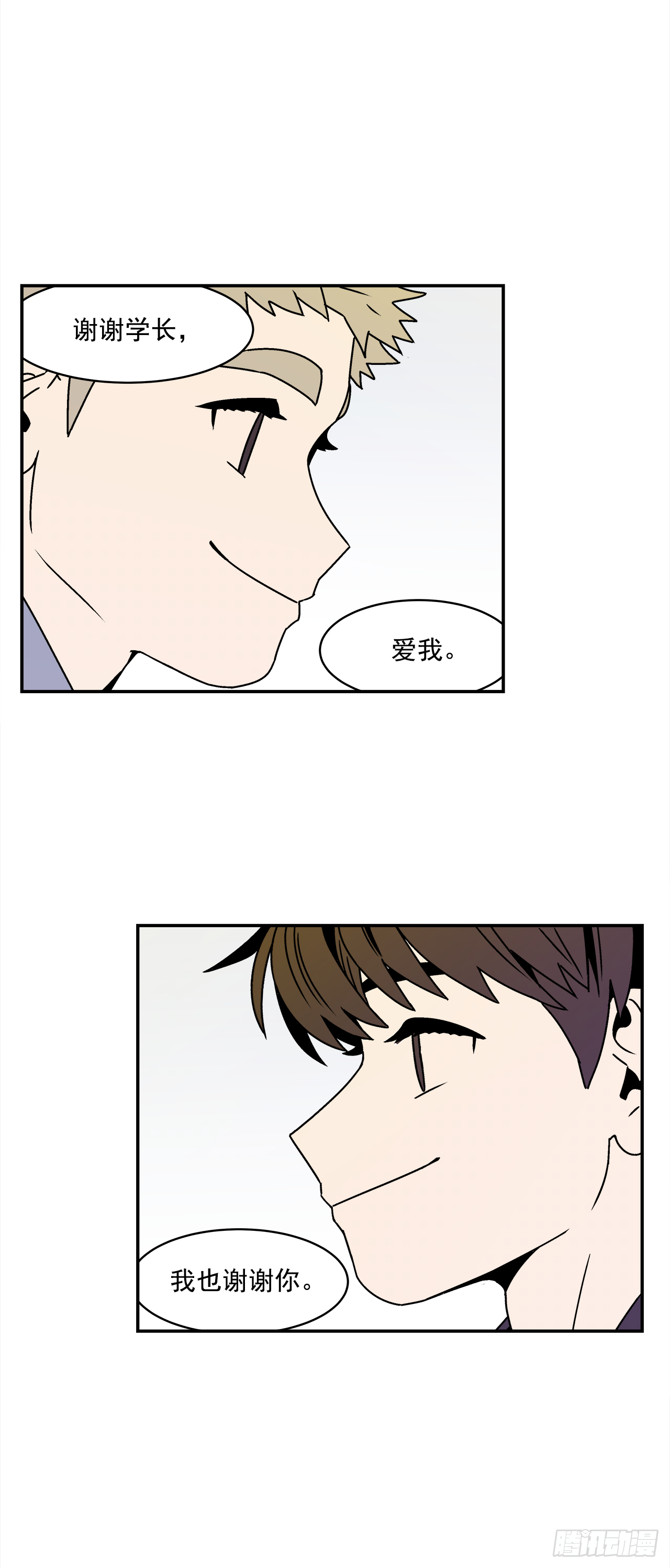 29.再次表白19