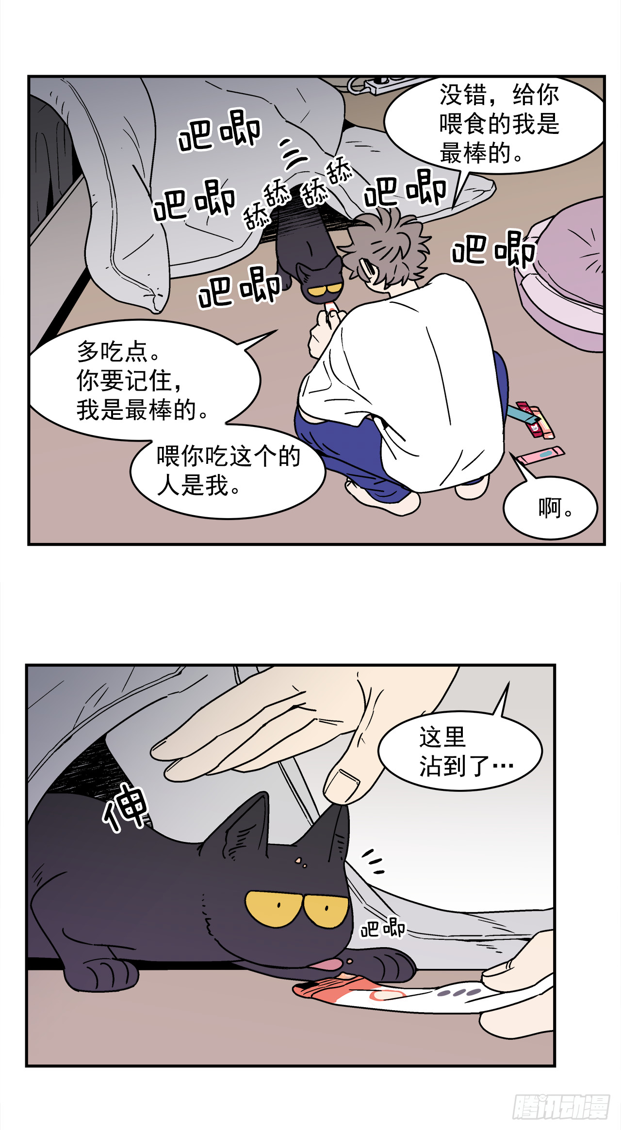 66.番外8如何搞定猫咪31