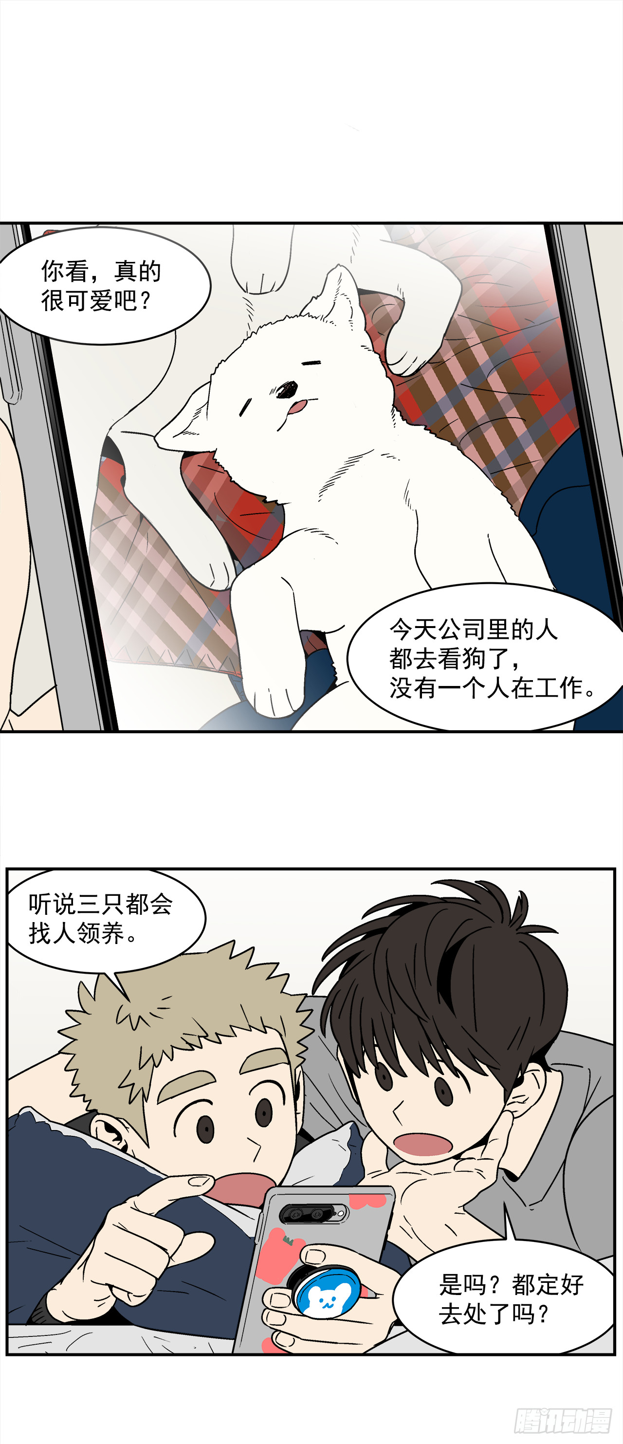 74.番外16都知道他喜欢我7