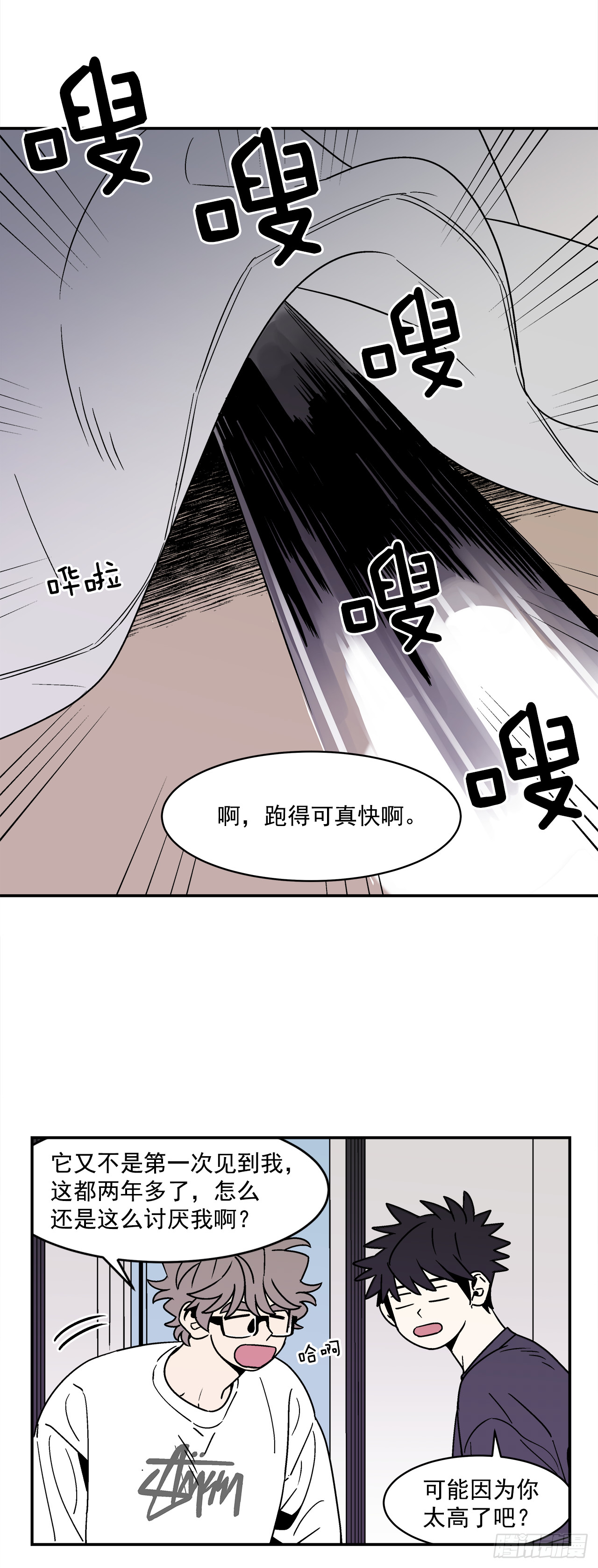 66.番外8如何搞定猫咪32
