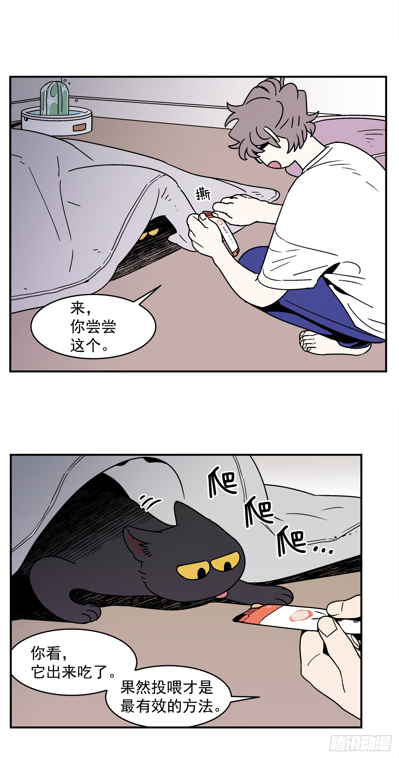 66.番外8如何搞定猫咪30