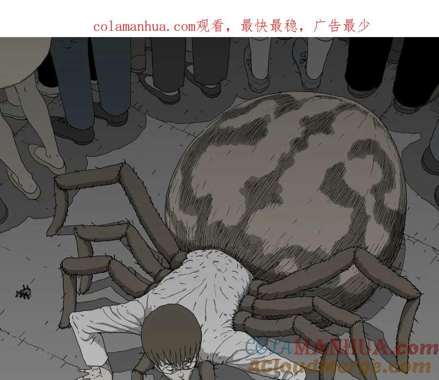 蜘蛛男（十四）0
