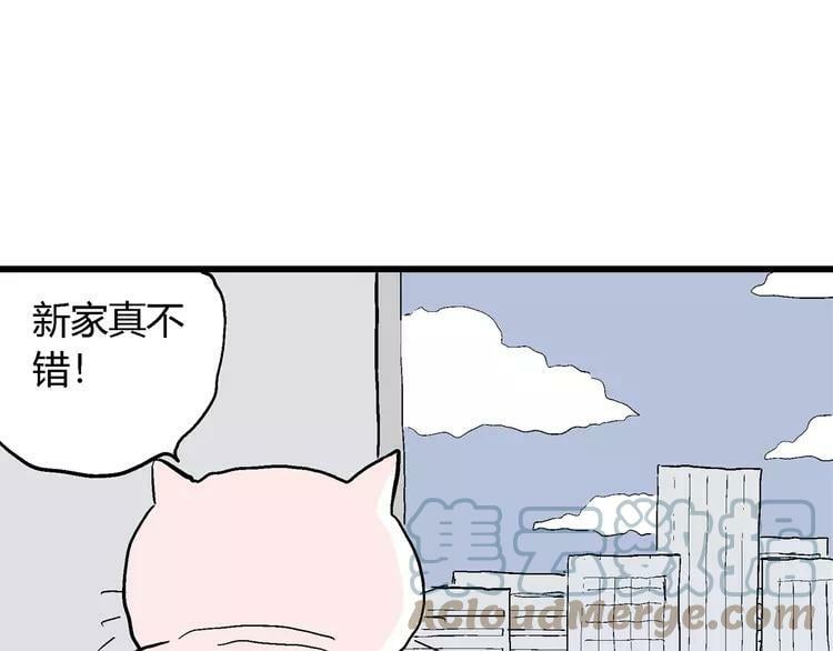 请假条4
