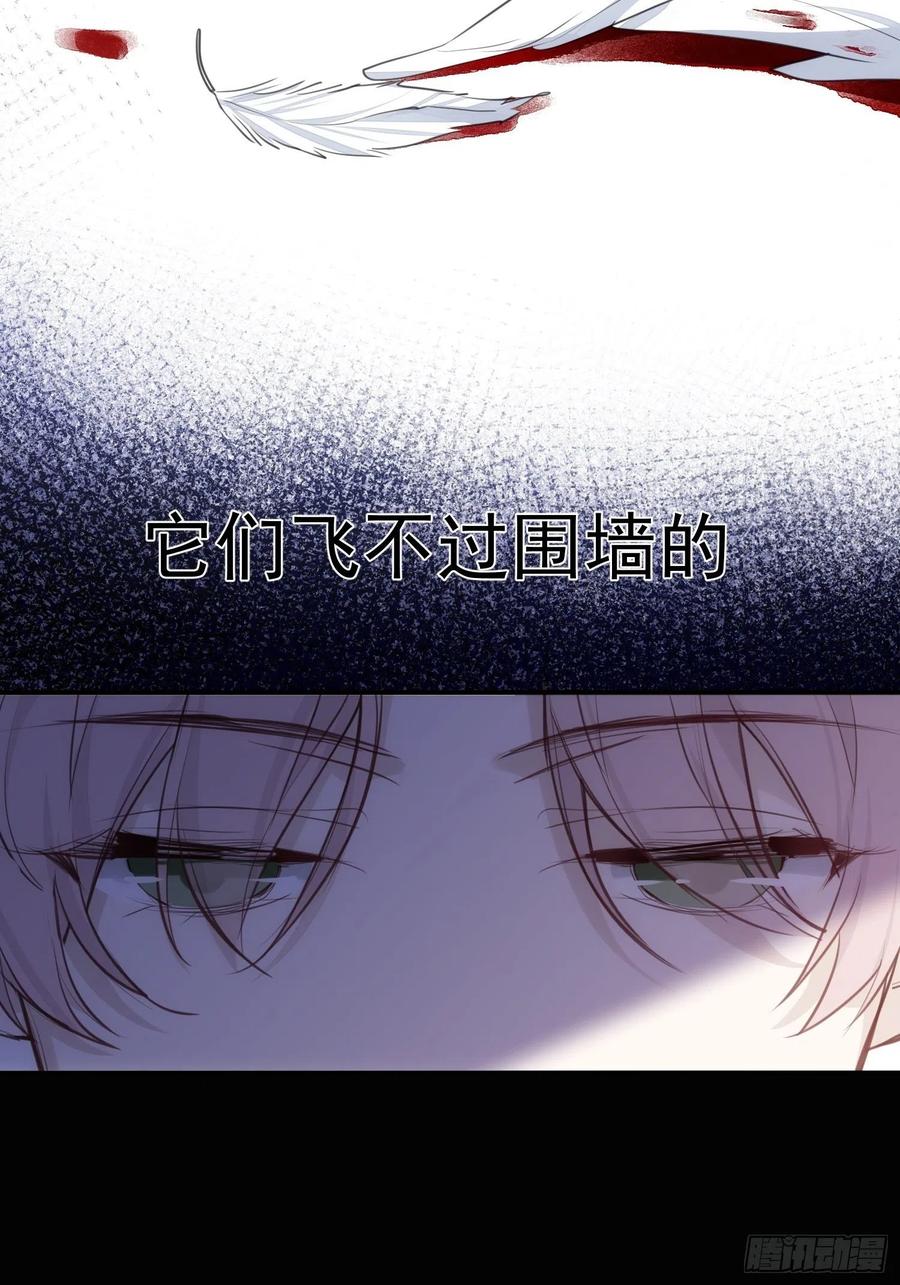 第36话 笼中鸟11