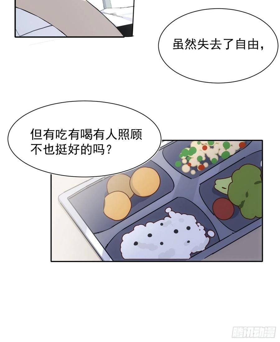 第36话 笼中鸟13