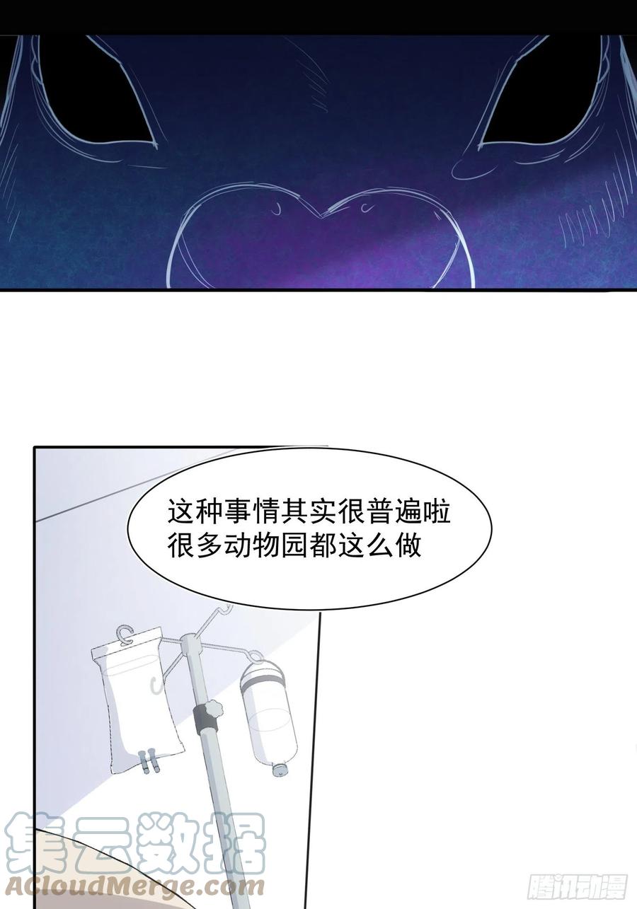 第36话 笼中鸟12