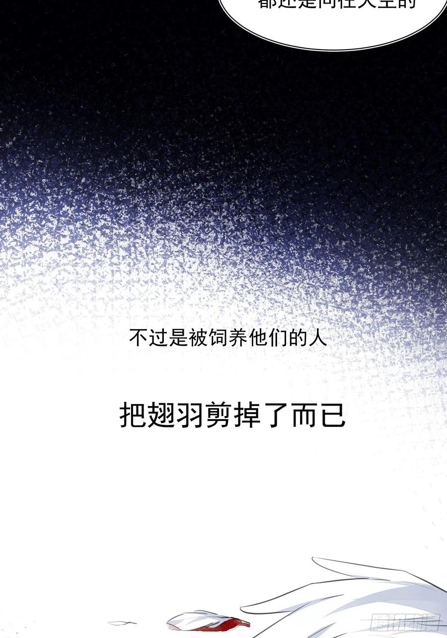 第36话 笼中鸟10