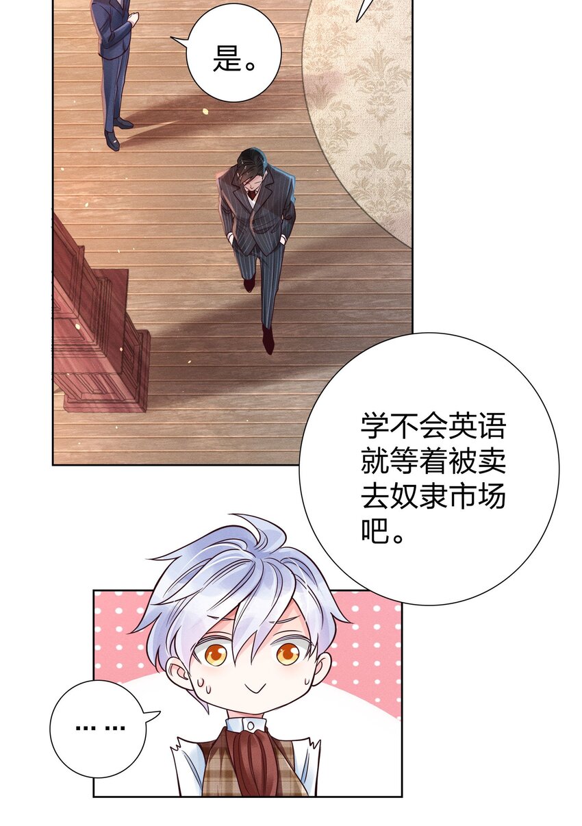 06 西伯利亚雪橇犬4