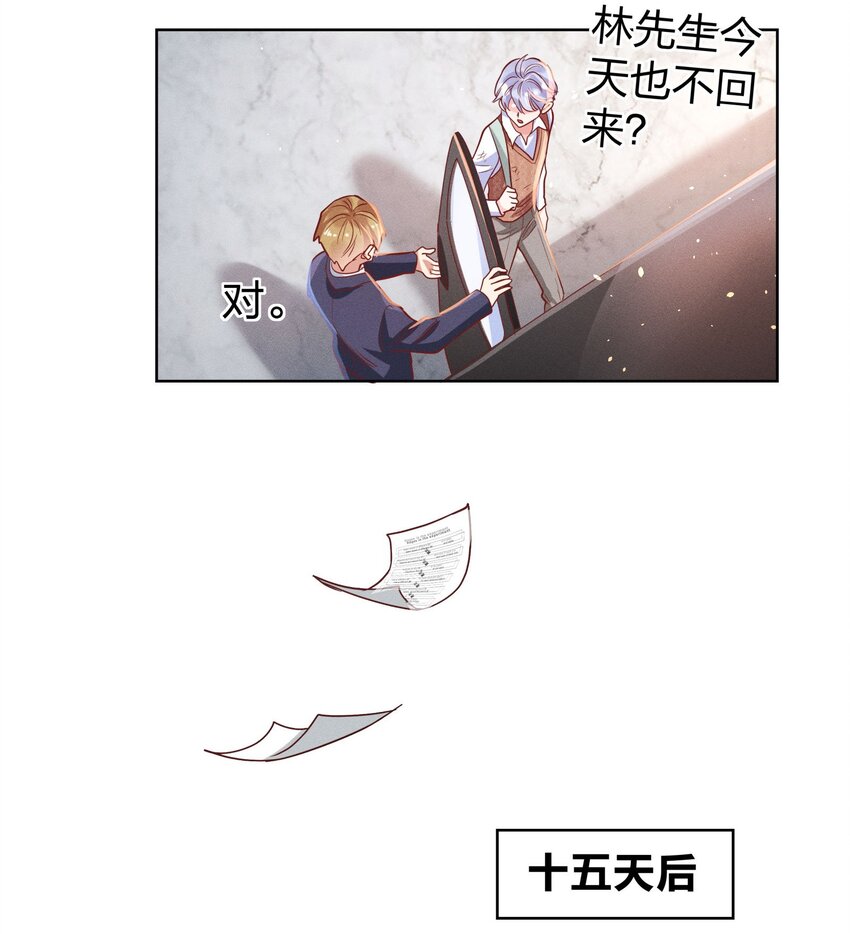 06 西伯利亚雪橇犬19