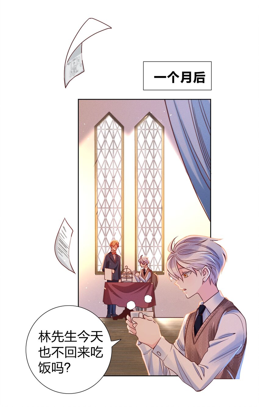 06 西伯利亚雪橇犬22