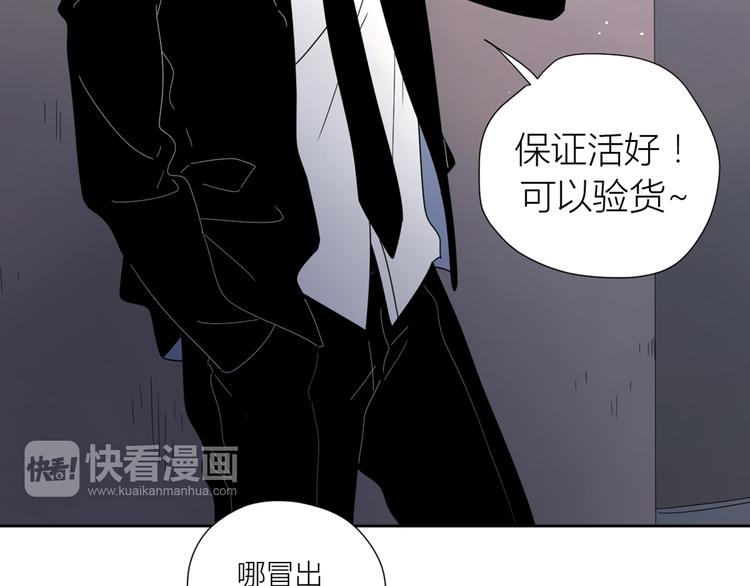 系列31相遇70
