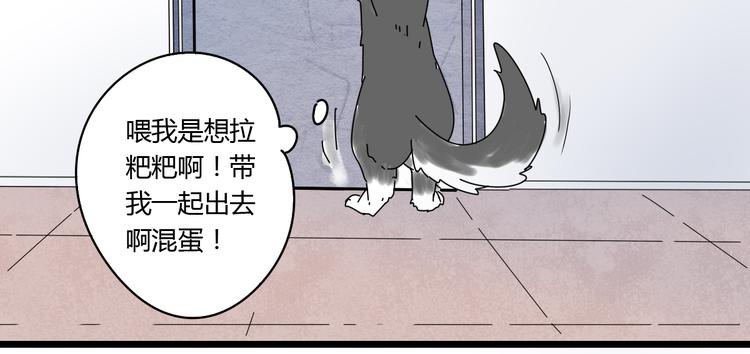 11离开你无尽的想念61