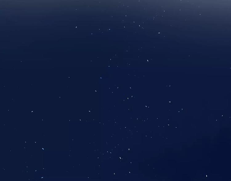 10不愿存在的记忆31