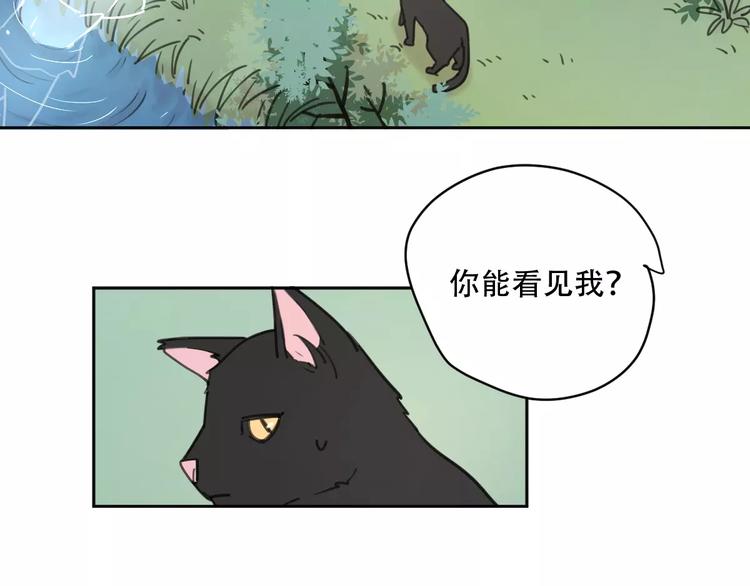 新春特辑4我是汤圆14