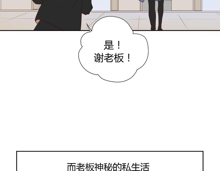 番外3我的老板陶子阳13