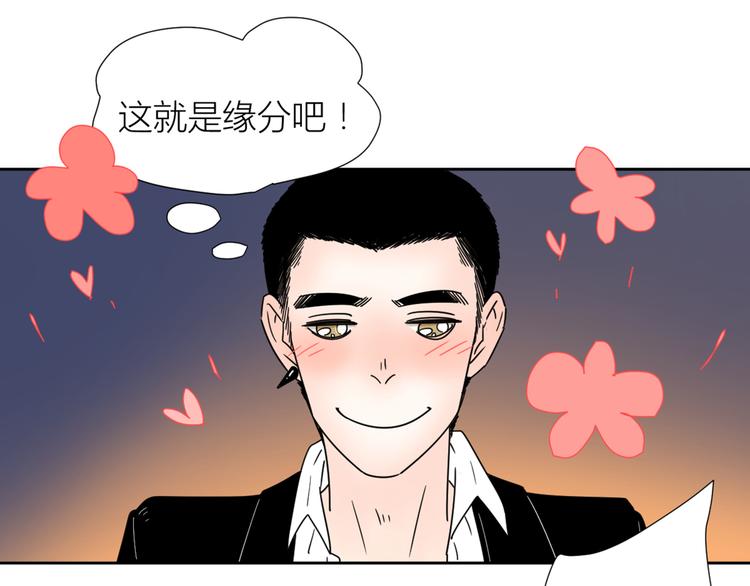 系列31相遇81