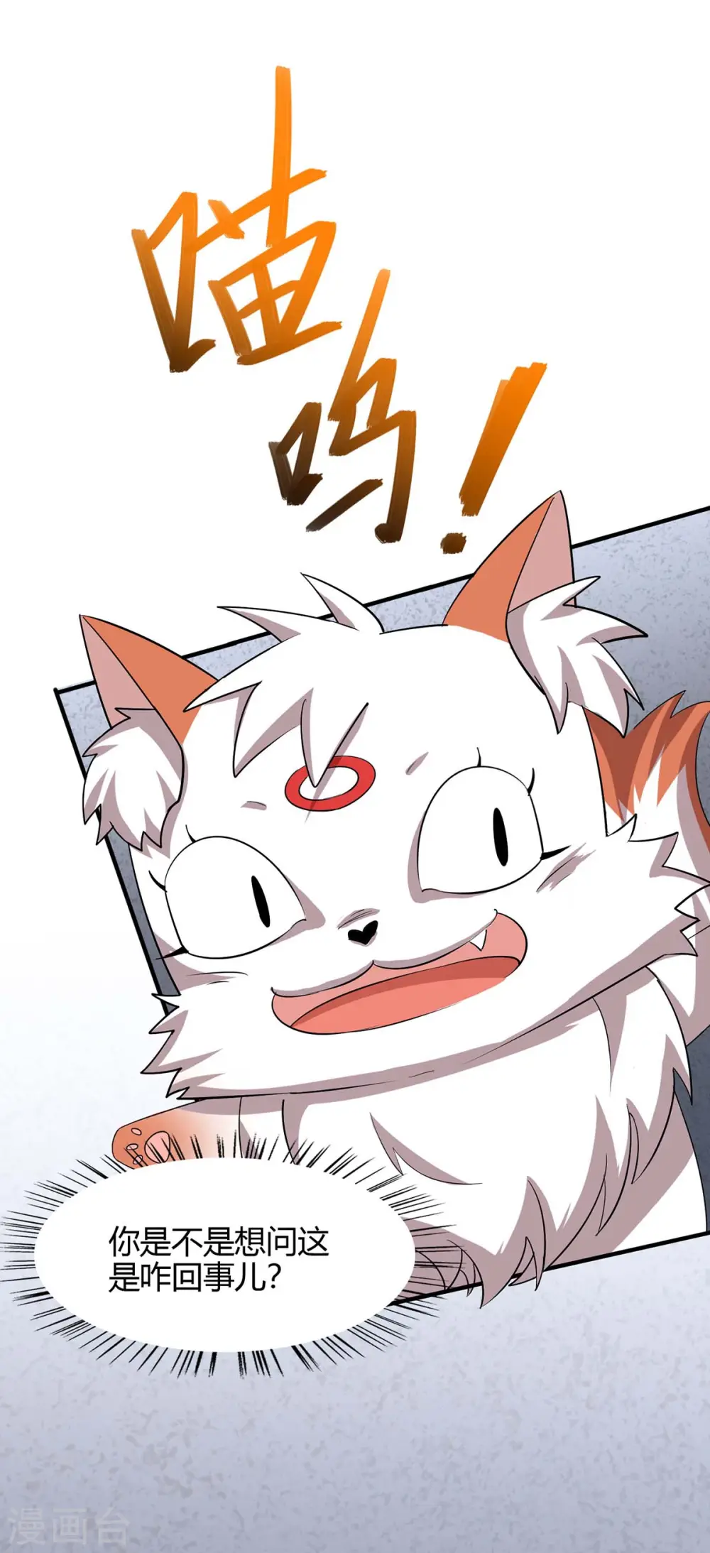 第164话 分头行动14