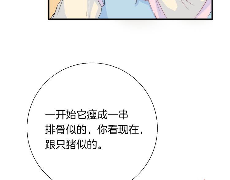第29话 意外来电28