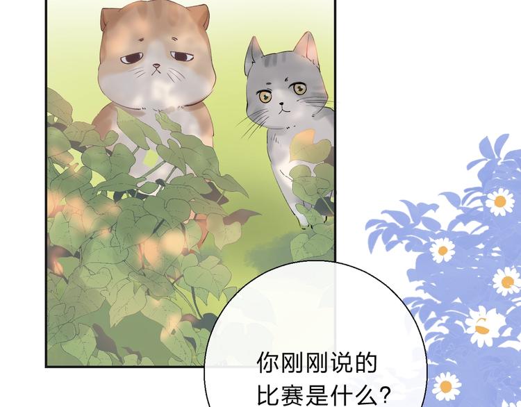 第79话 抉择之时63