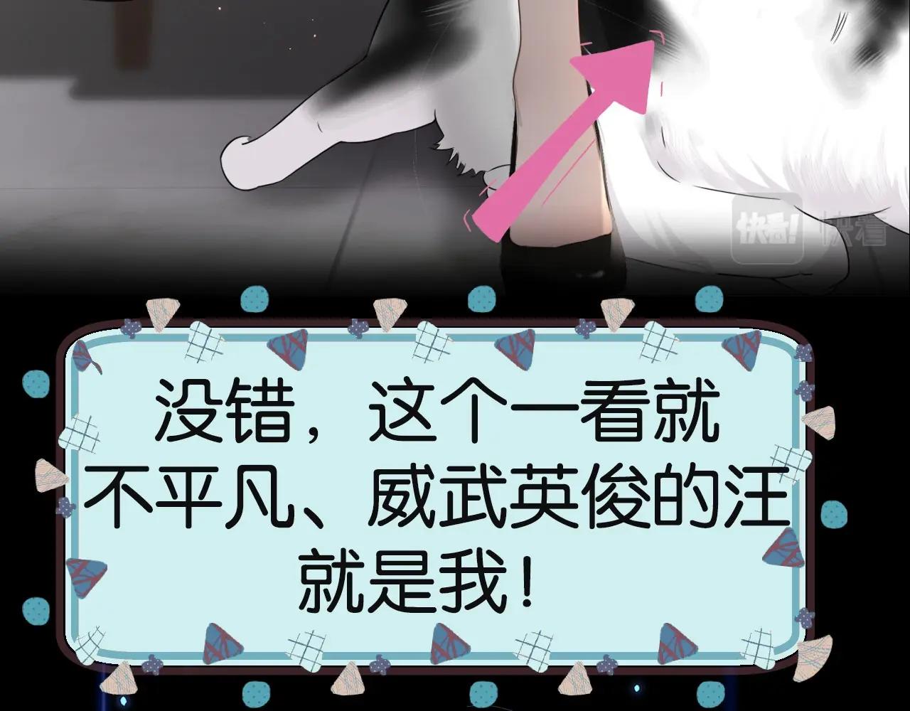 新作上线啦！！快来~4