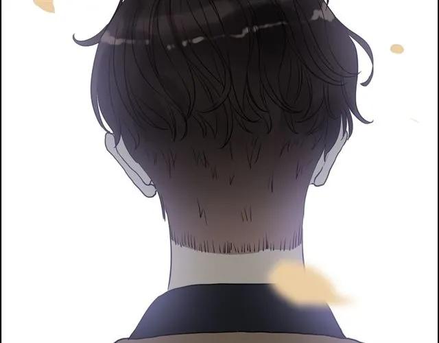 第155话 顾兮兮，你赢了113