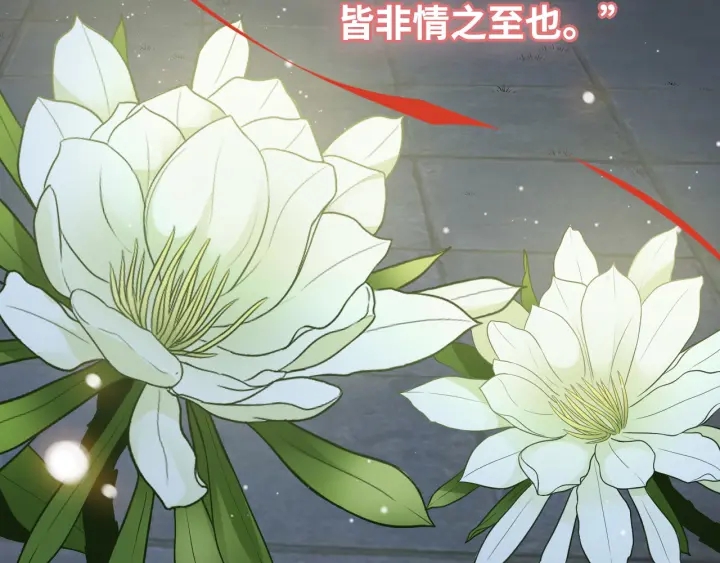 第366话 兮兮心结解开121