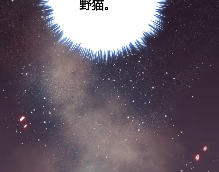 第61话 晚安，小野猫84