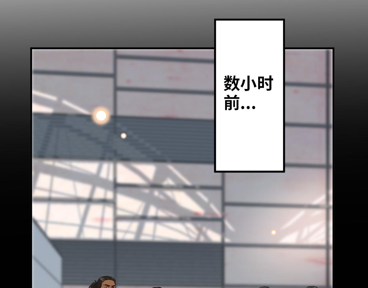 第496话 回国14