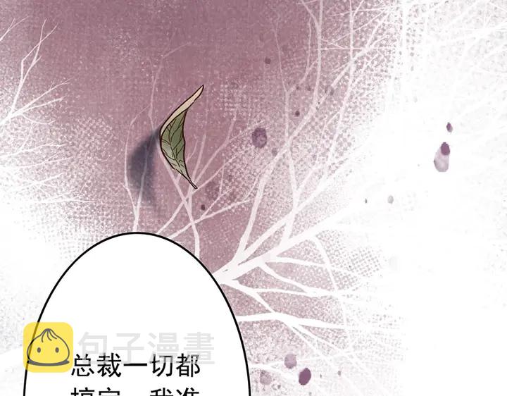 第256话 夫妻团聚的时间91