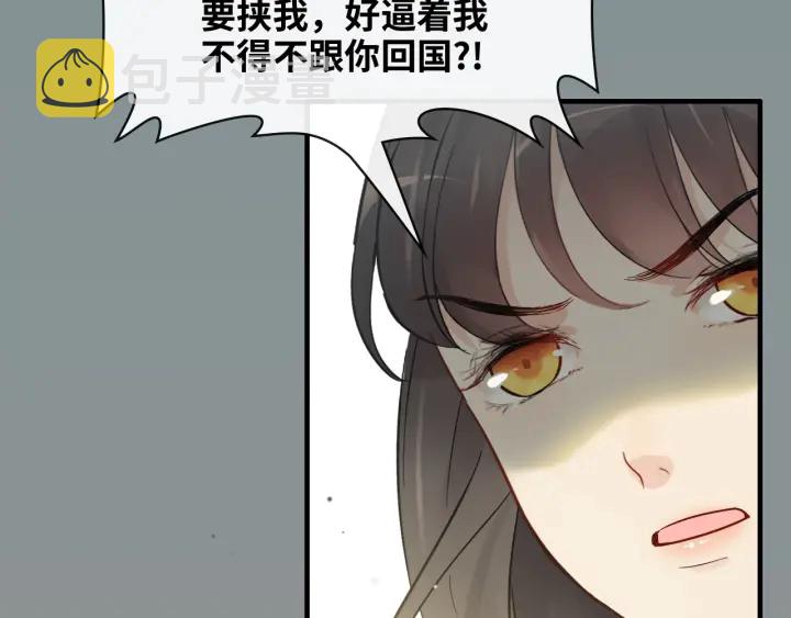 第334话 兮兮决定回国！31