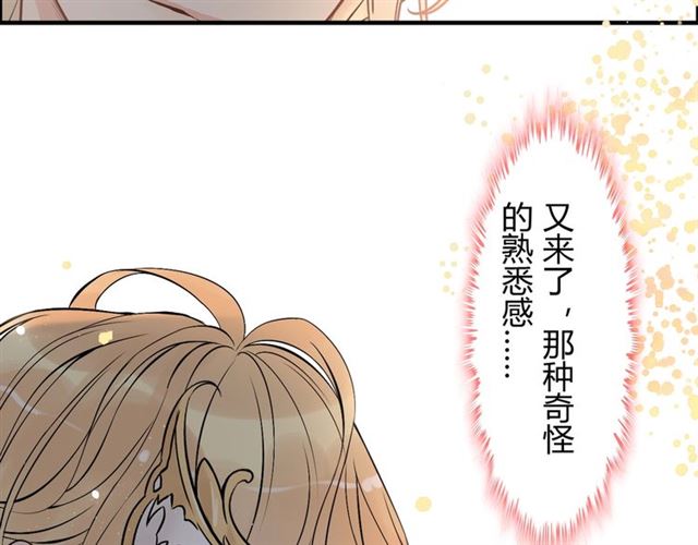 第207话 莫名的熟悉感36