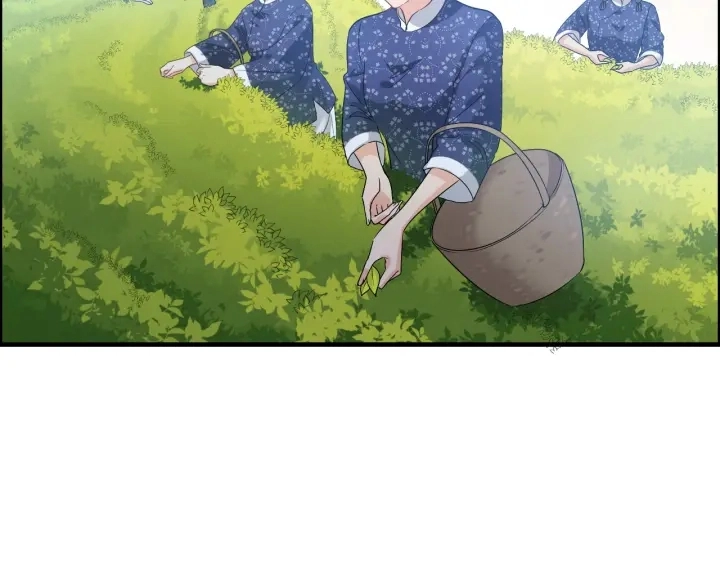 第337话 茶山的雨天12