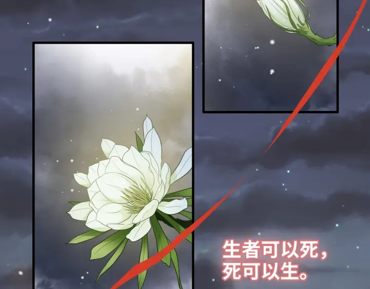 第366话 兮兮心结解开117