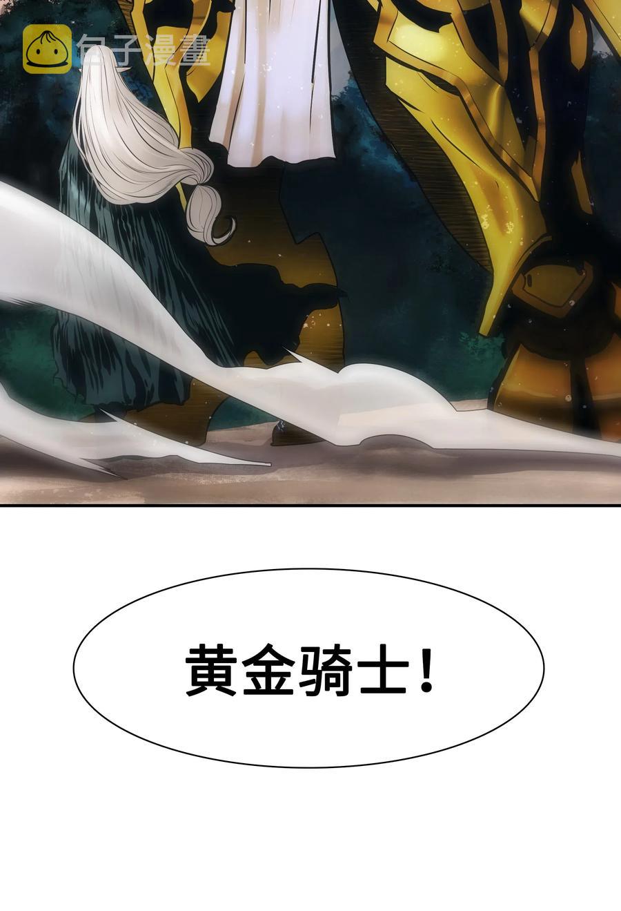 040 黄金骑士27
