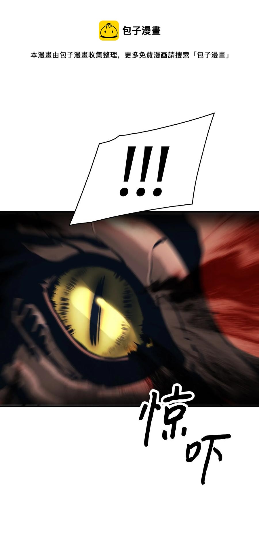 046 金龙9
