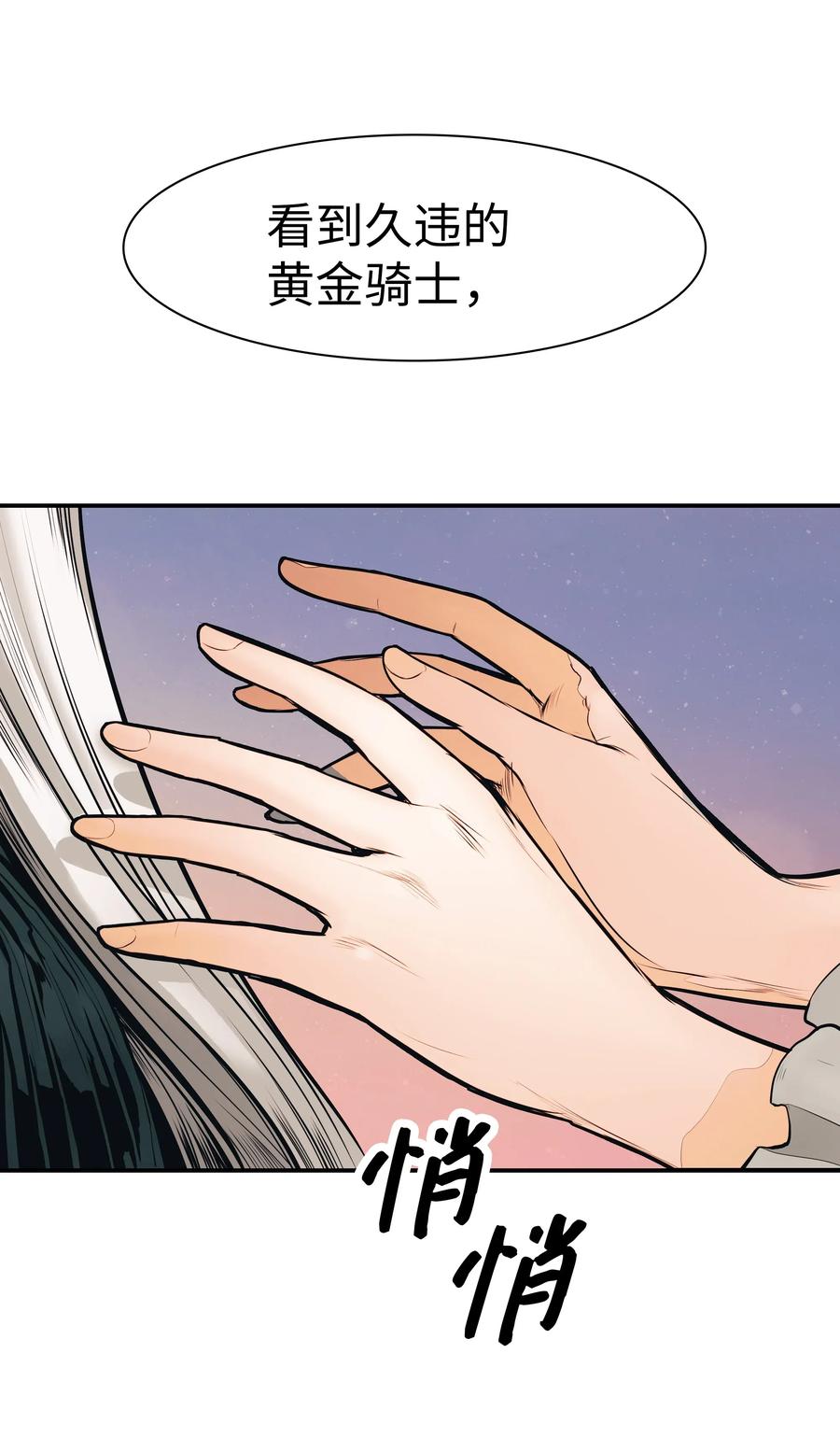 040 黄金骑士71