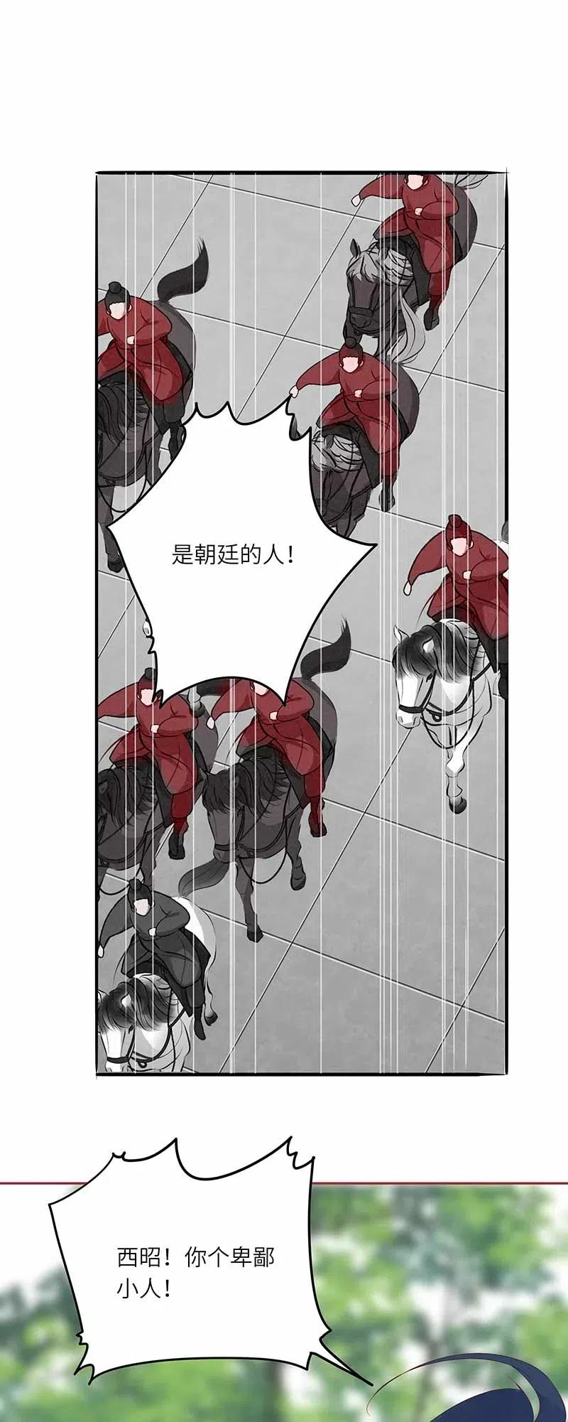 206 暗袭6