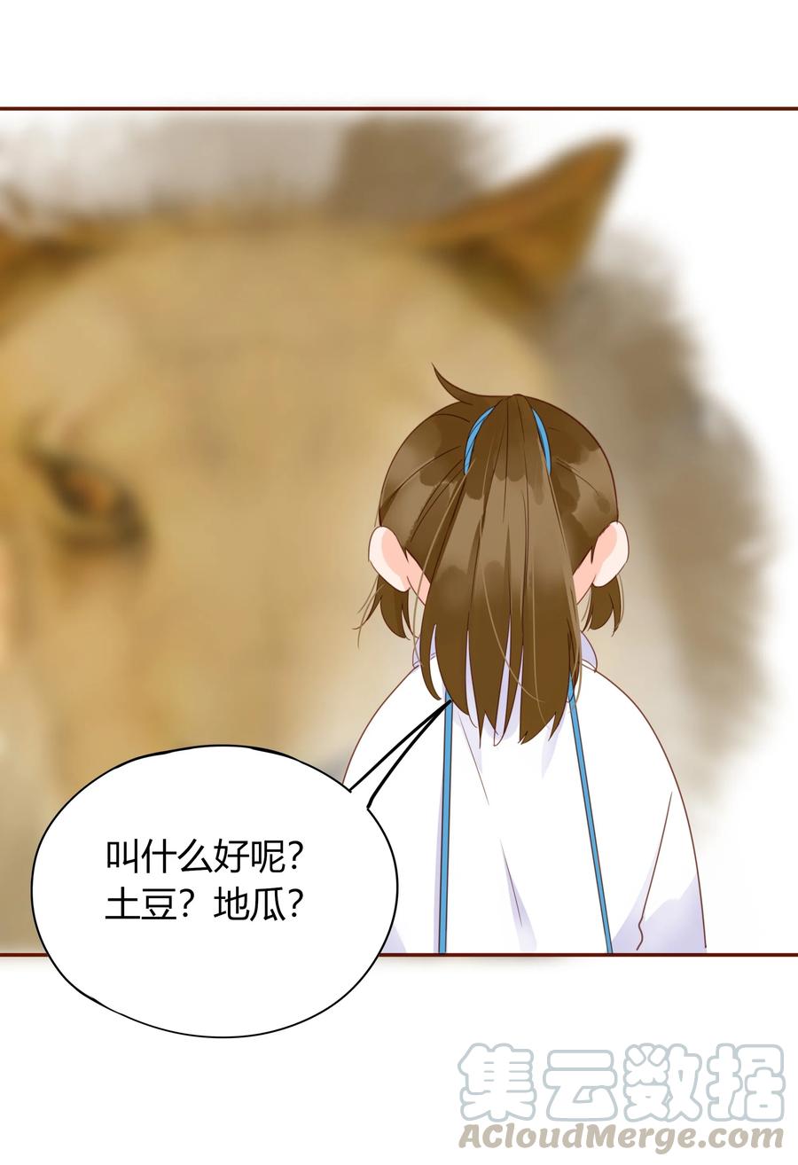 058 一见钟情3
