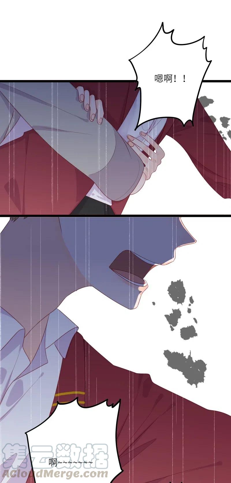 244 护崽0