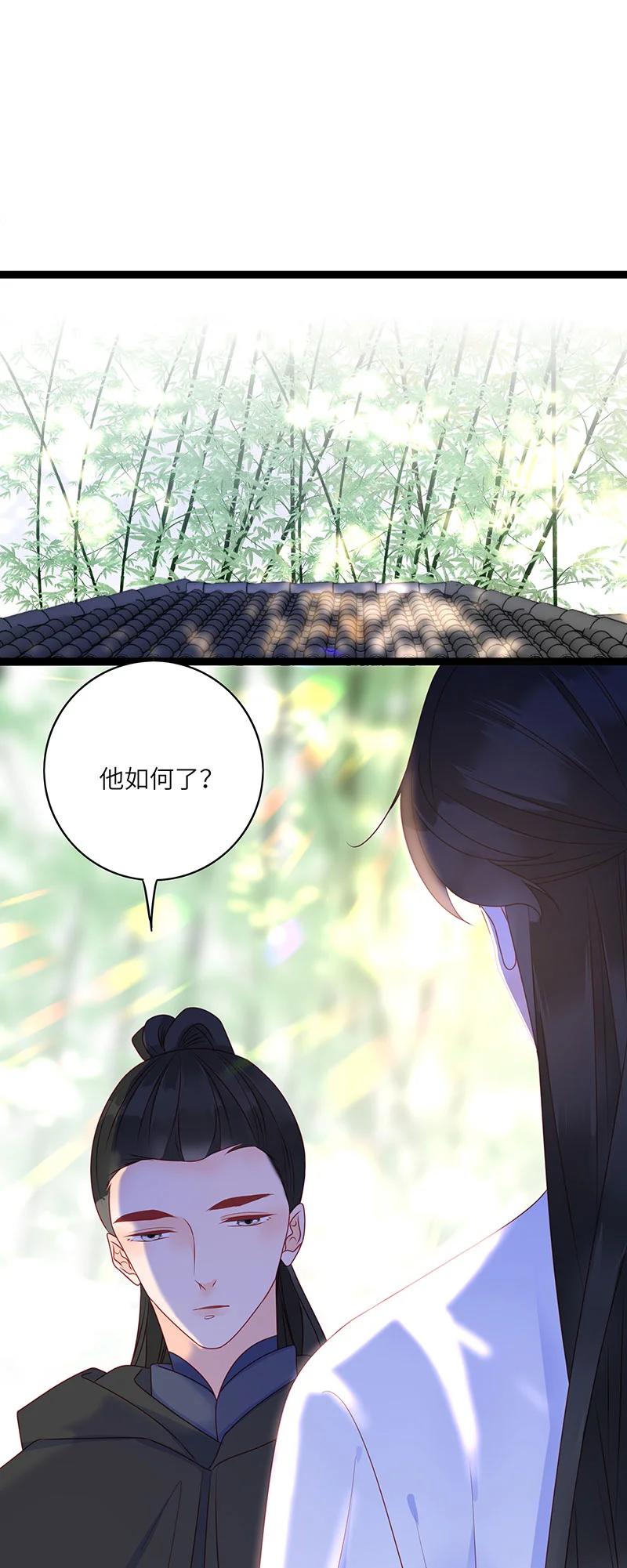278 竹林清风11